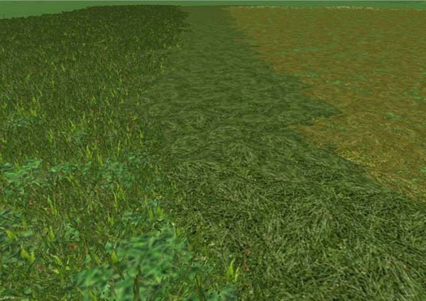 Grass textures