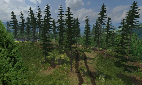 Mountain valley forest Edition map